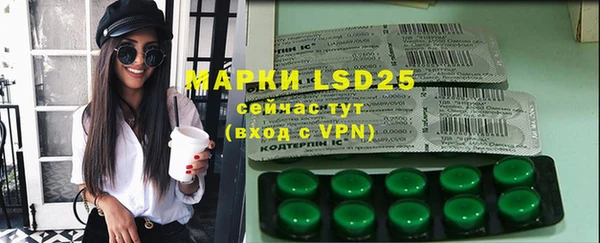 ПСИЛОЦИБИНОВЫЕ ГРИБЫ Абаза