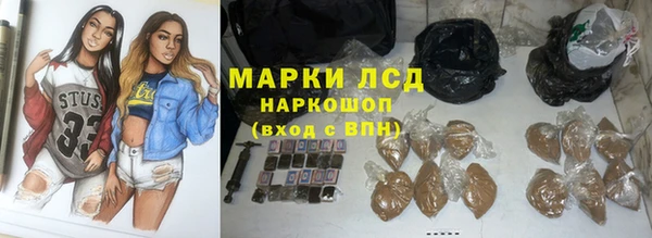 ПСИЛОЦИБИНОВЫЕ ГРИБЫ Алзамай