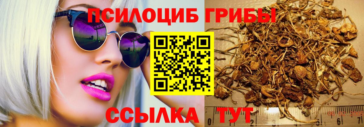 Псилоцибиновые грибы GOLDEN TEACHER  наркошоп  Орск  Псилоцибиновые грибы мухоморы  Вход с VPN 
