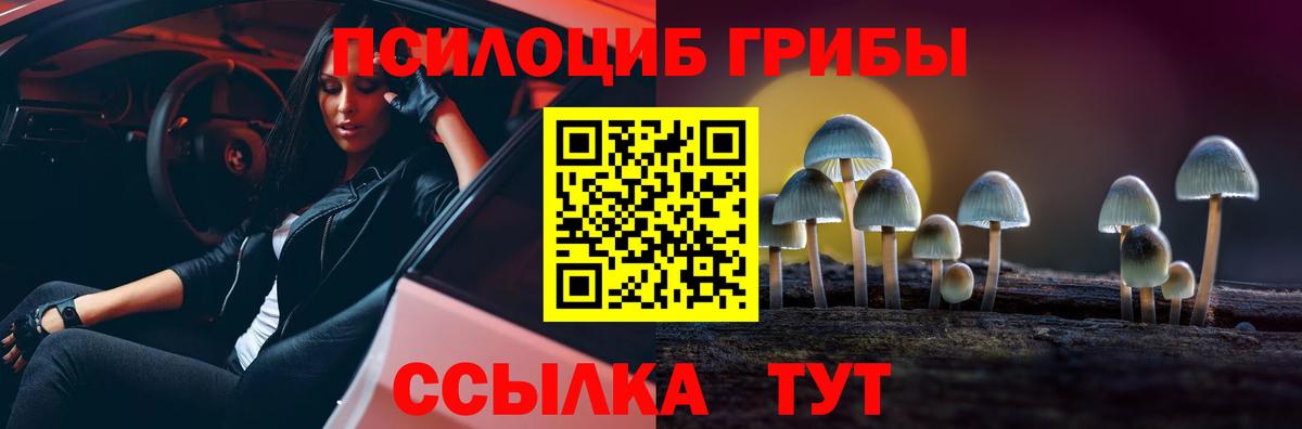 Псилоцибиновые грибы Cubensis Орск